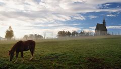 foggy churchhorse