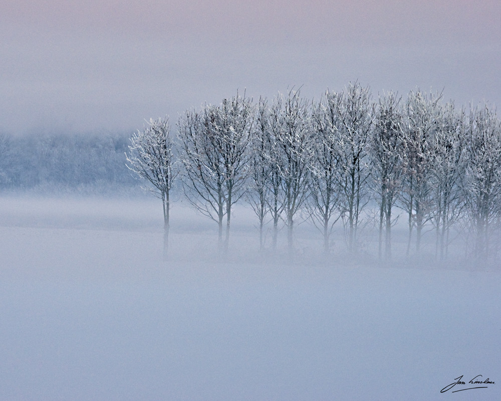 Foggy Cold Winter 2009