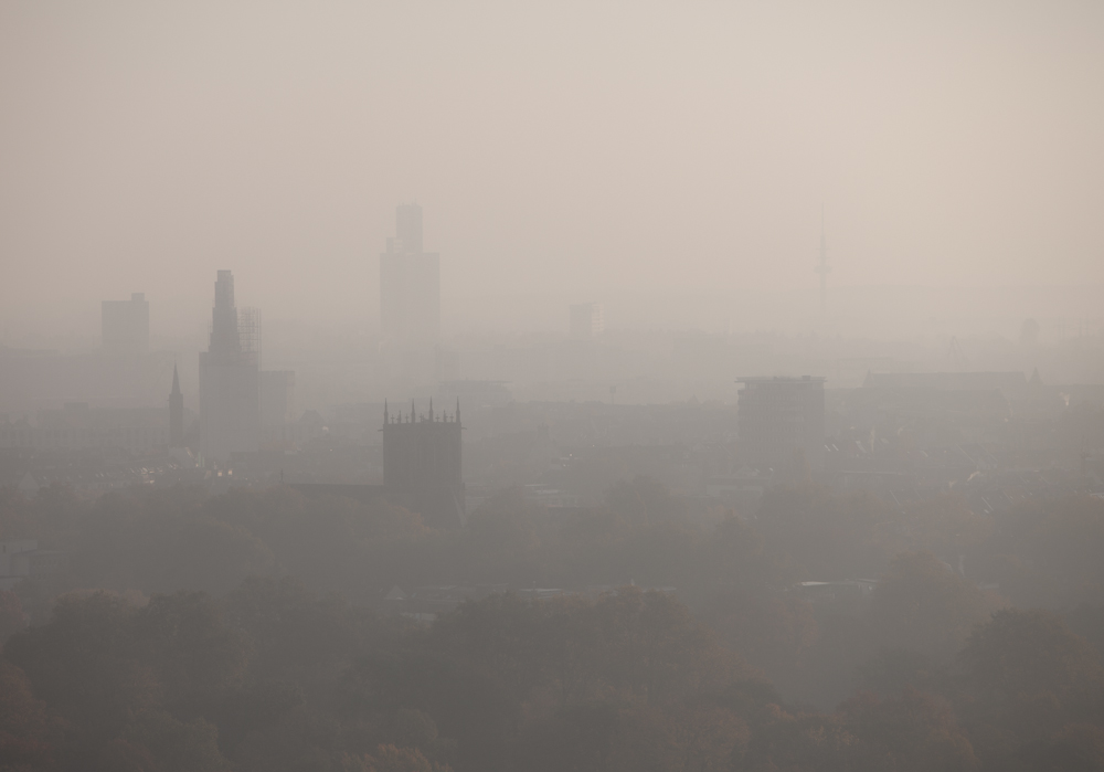 Foggy Cologne