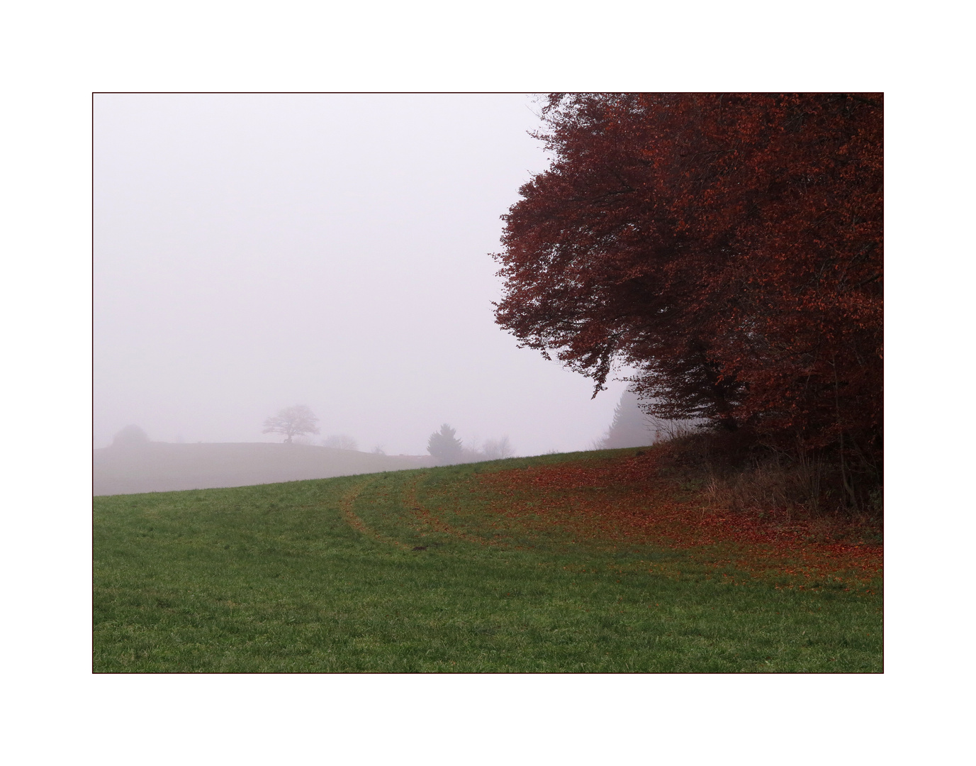 foggy colours