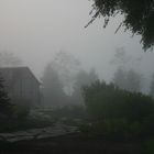 foggy cottage