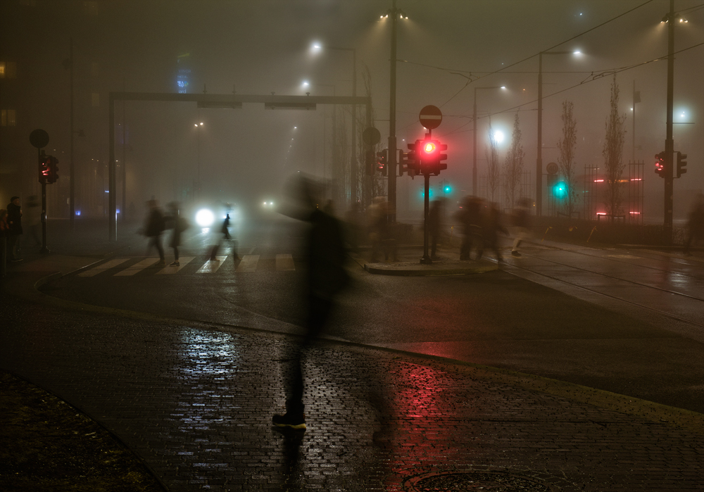 Foggy Crossing