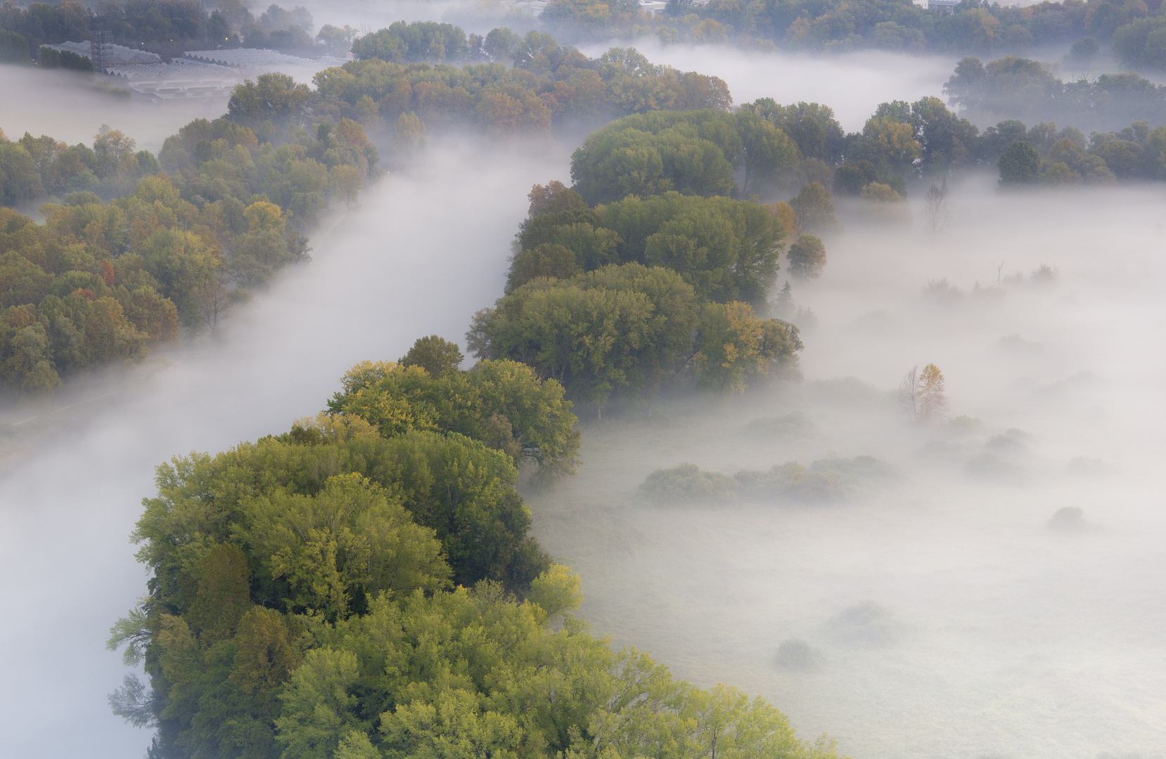 foggy day