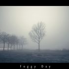 "Foggy Day"