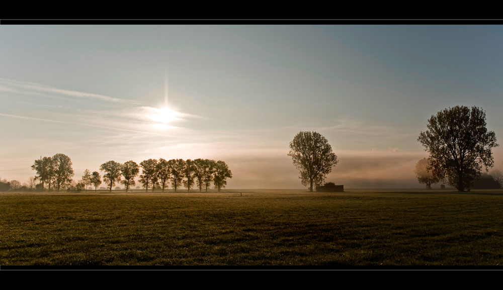 [ foggy day ]