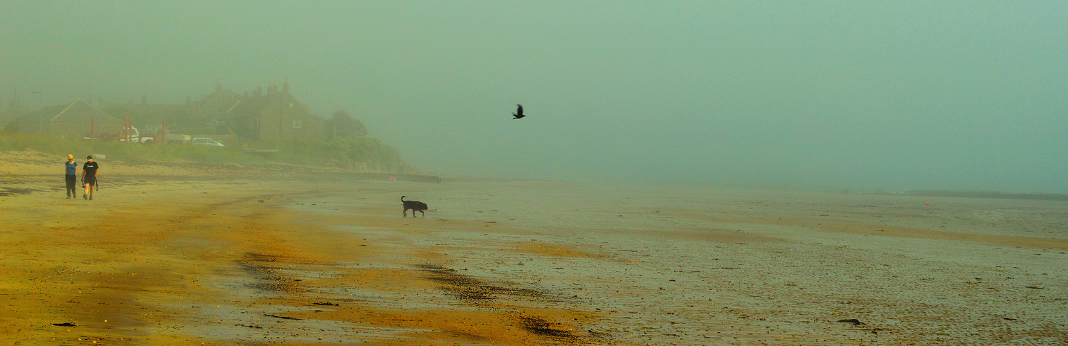 Foggy day at boulmer