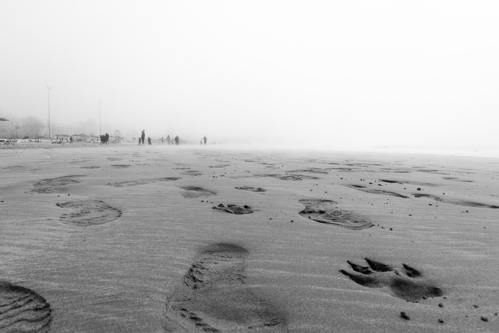 Foggy day at Essaouira_11