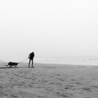 Foggy day at Essaouira_9