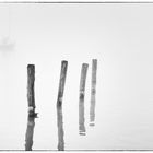 Foggy day at Lake Trasimeno