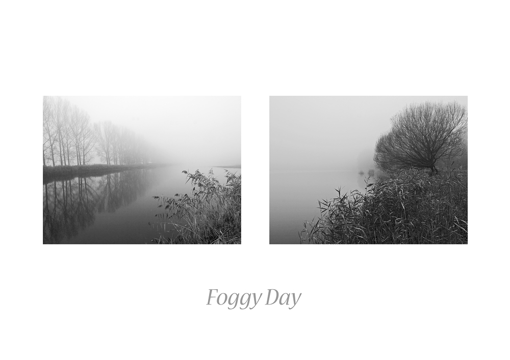 Foggy Day