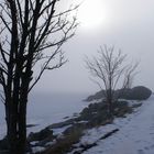 Foggy day in Holmsund