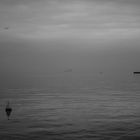 Foggy day in Trieste port
