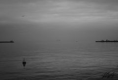 Foggy day in Trieste port