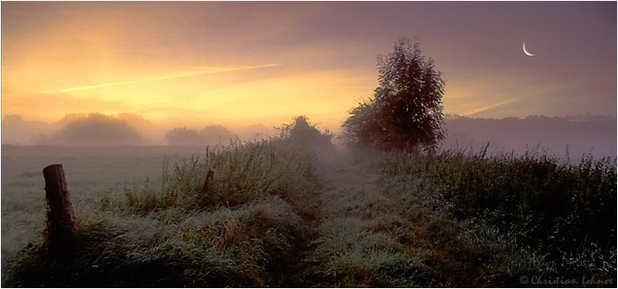 foggy daybreak