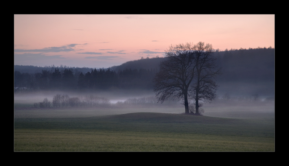 foggy days