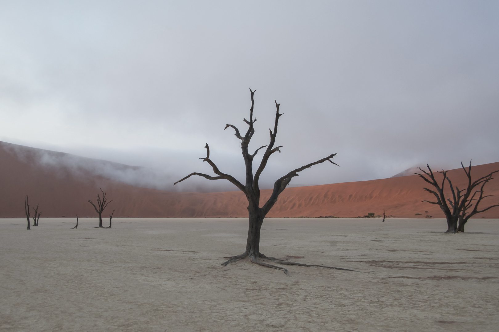 foggy desert