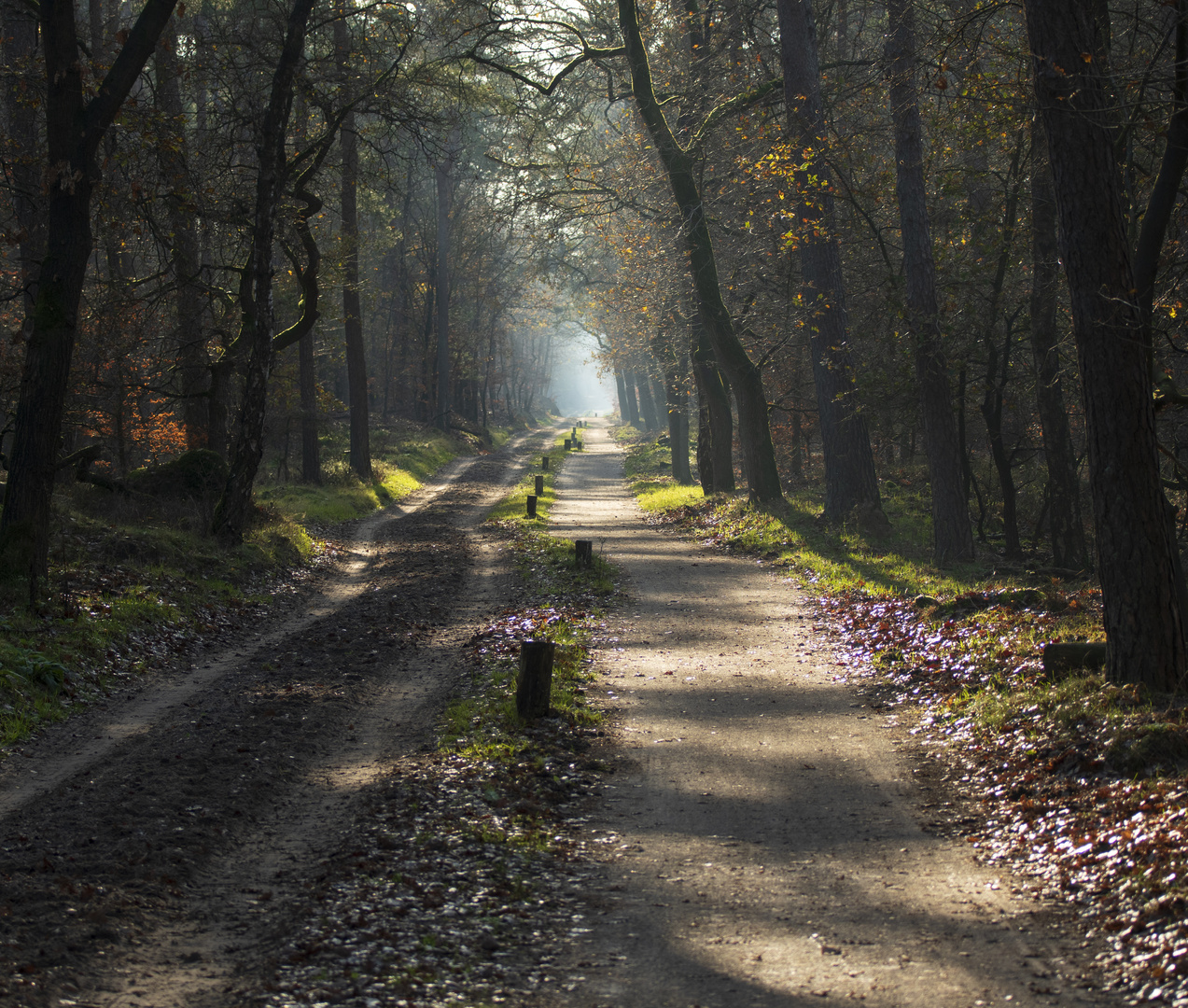 Foggy end of the path.