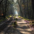 Foggy end of the path.