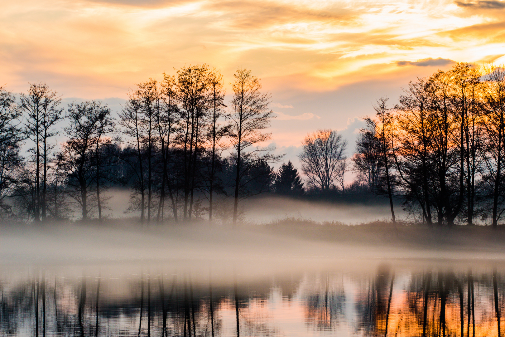 Foggy Evening