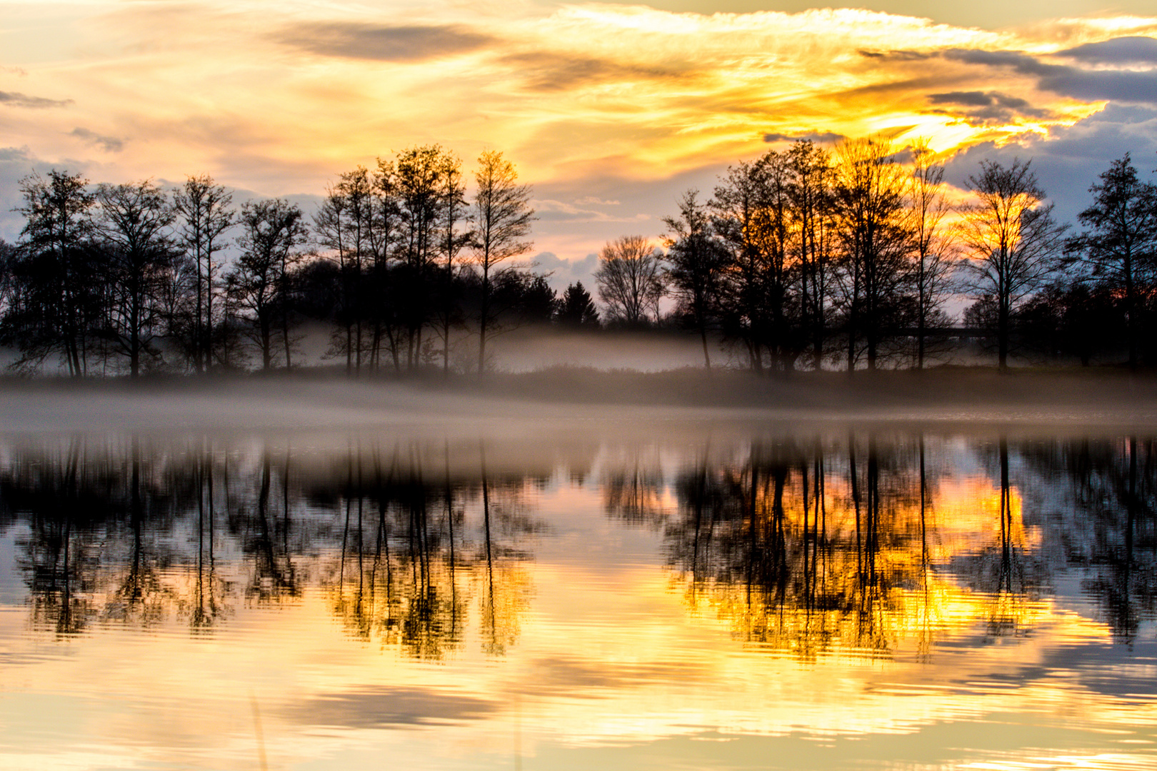 Foggy Evening