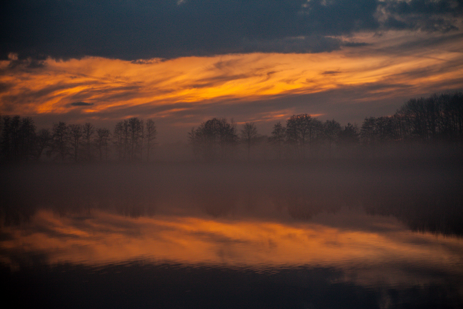 Foggy Evening