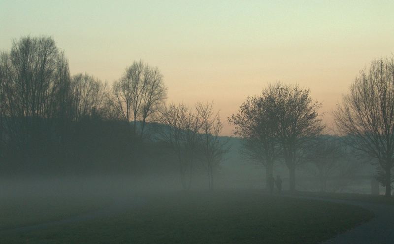 foggy evening walk