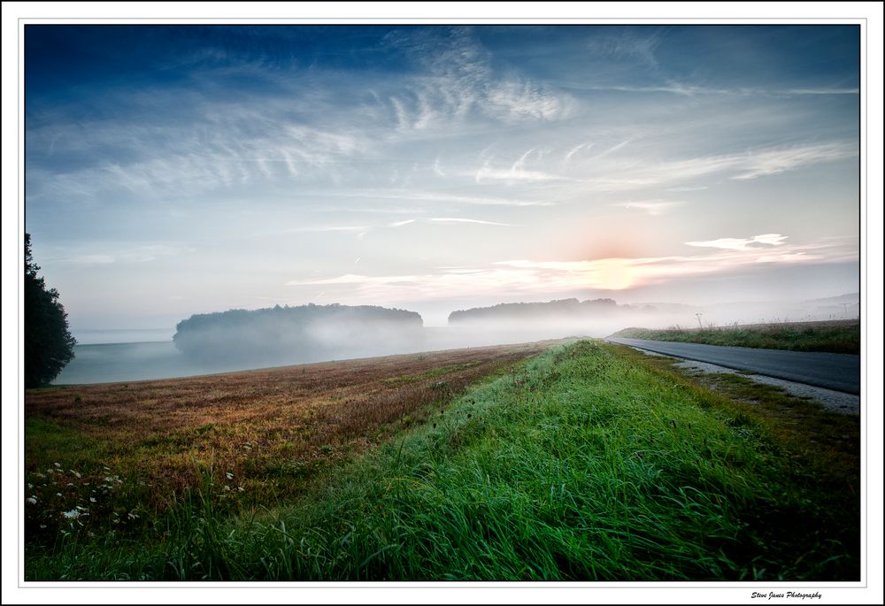 Foggy Fields