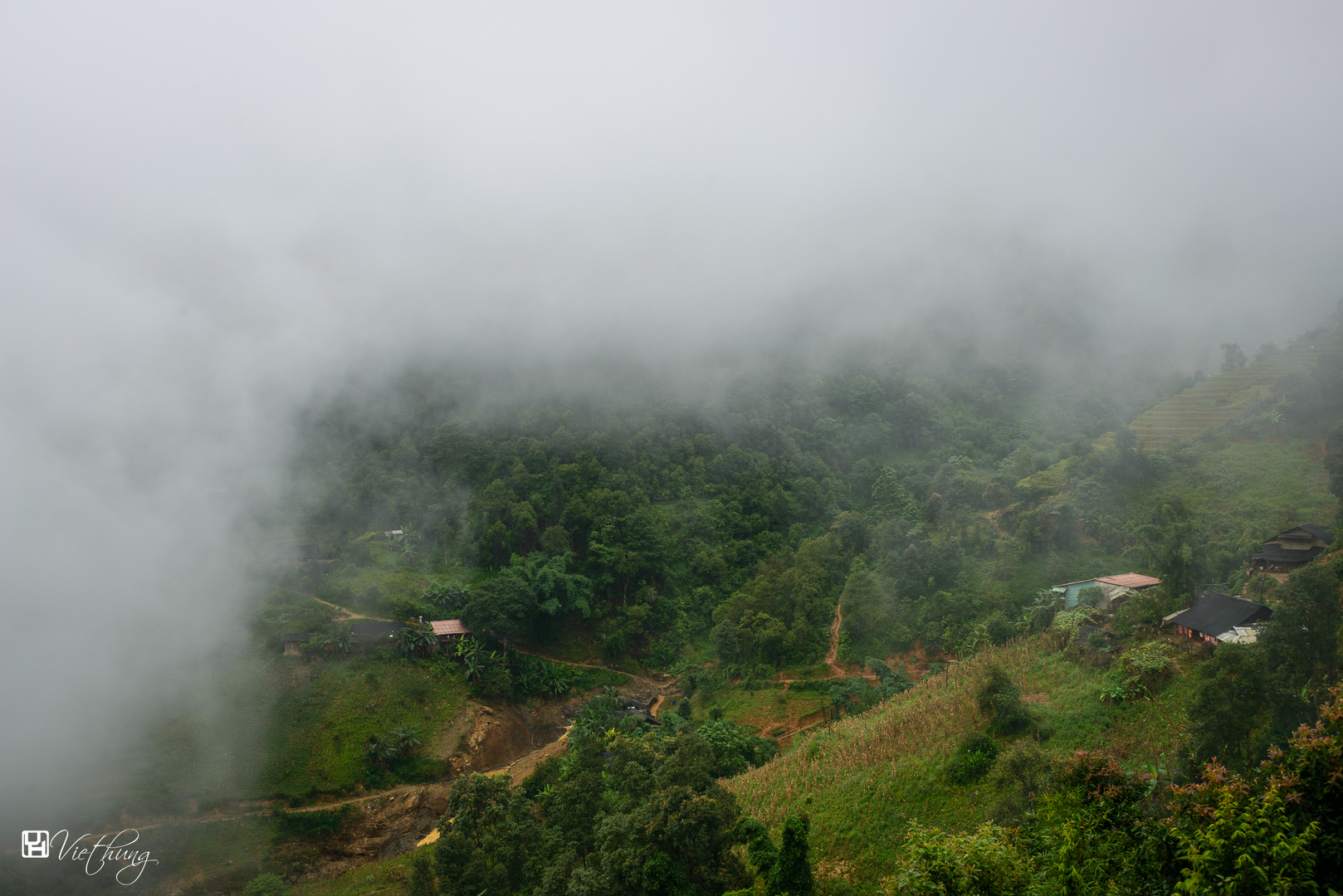 Foggy from Mu Cang Chai, Yen Bai