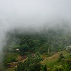 Foggy from Mu Cang Chai, Yen Bai