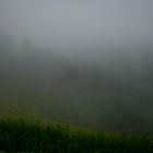 Foggy from Mu Cang Chai, Yen Bai