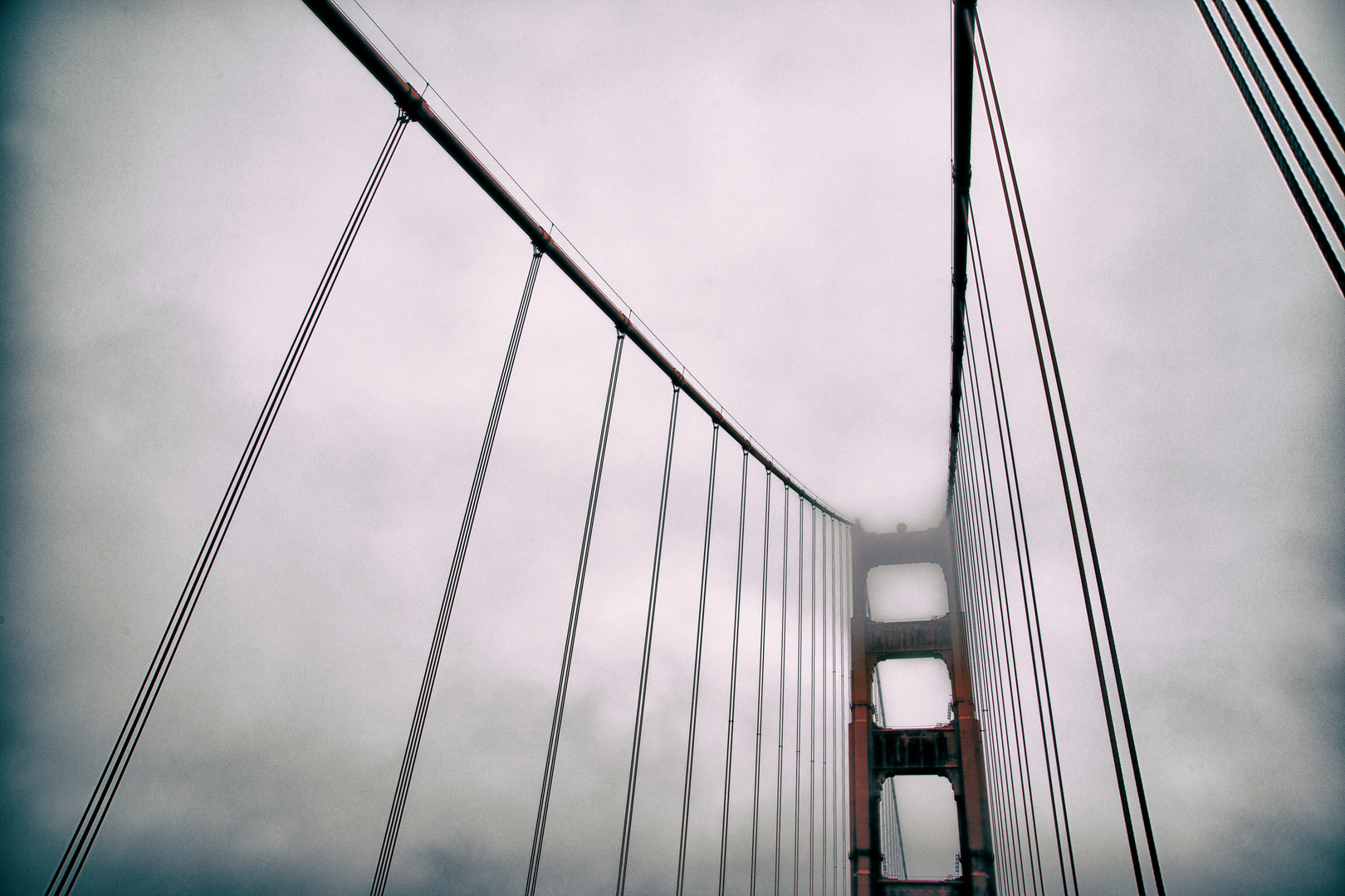 foggy gate