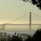 Foggy Golden Gate