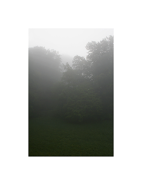 foggy II