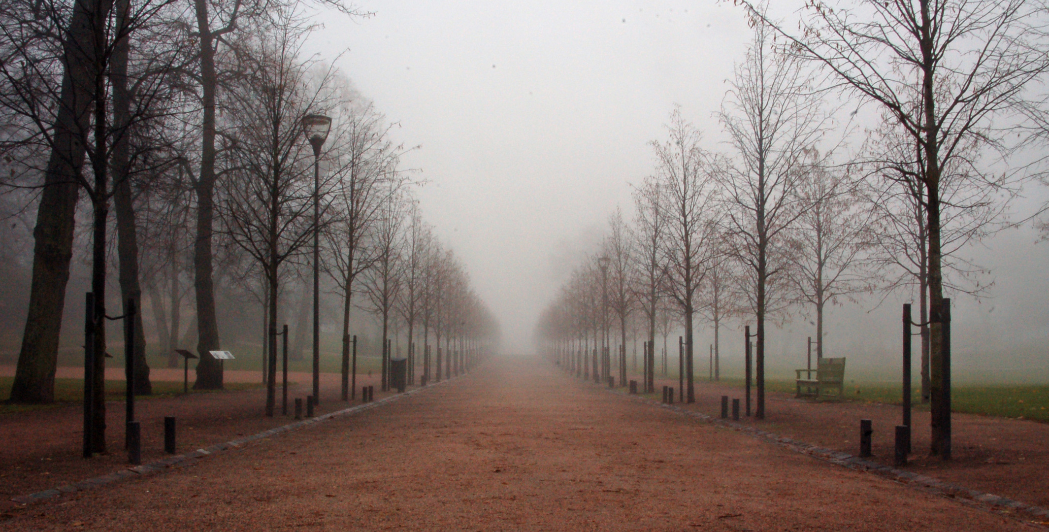 Foggy Kaivopuisto