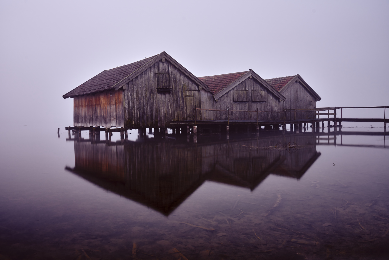 Foggy Kochelsee