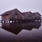 Foggy Kochelsee