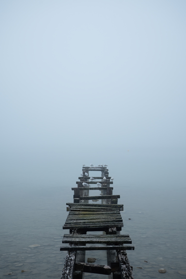 Foggy lake 