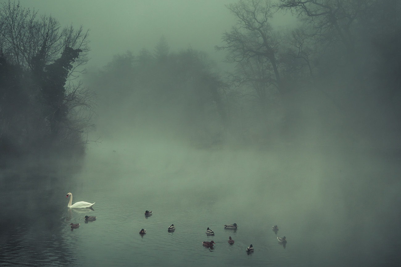 Foggy lake