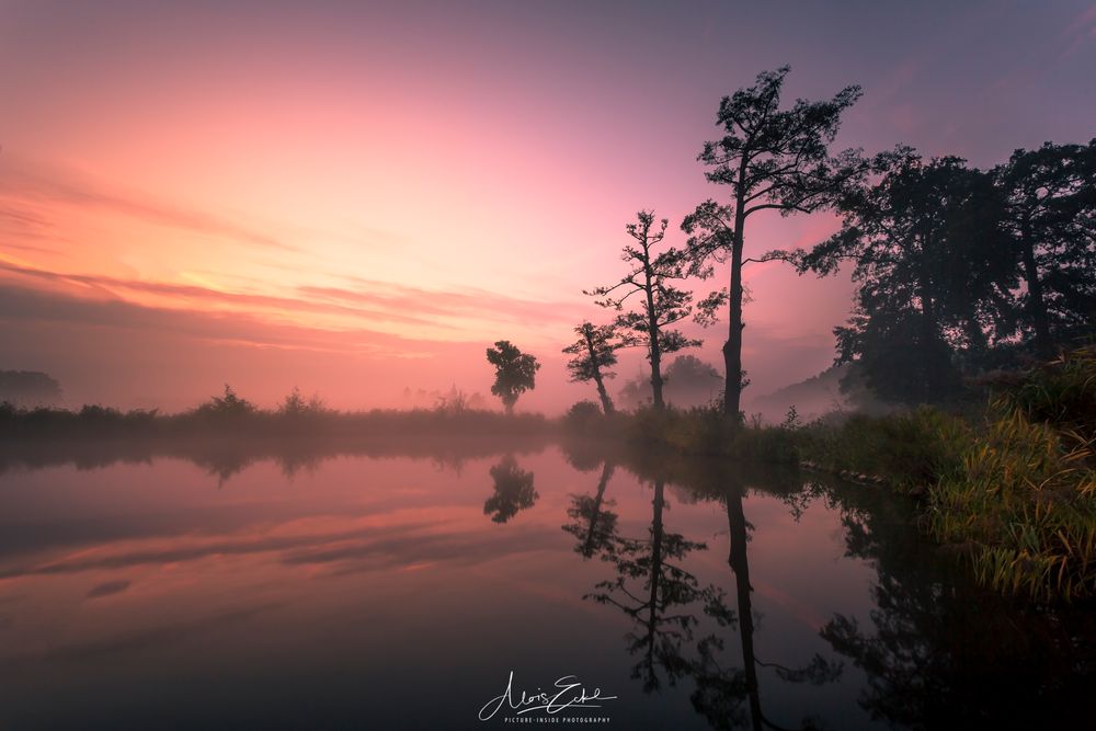 Foggy lake