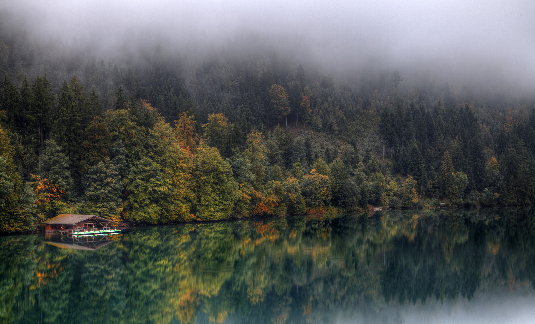 Foggy Lake