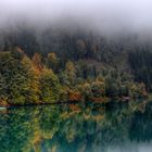 Foggy Lake