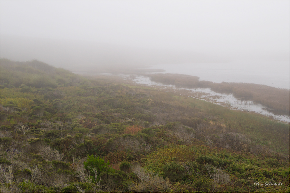 Foggy Lake close to Half Moon Bay