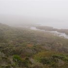 Foggy Lake close to Half Moon Bay