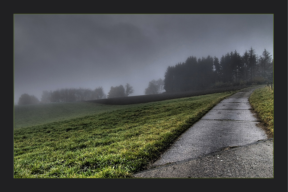 Foggy Landscape