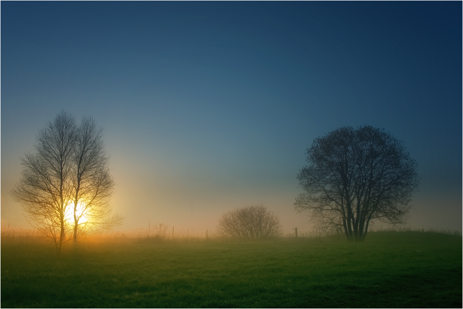 Foggy Lausitz