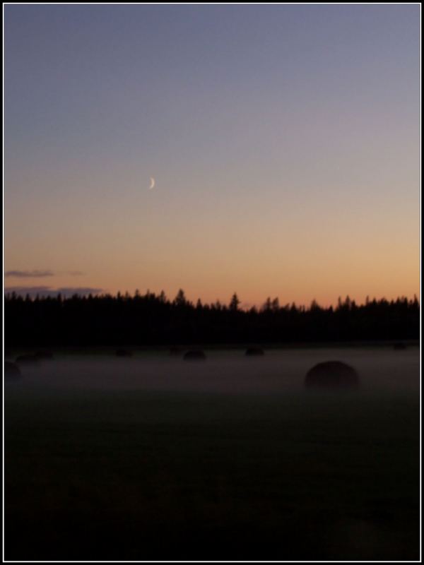 foggy moon