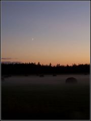 foggy moon