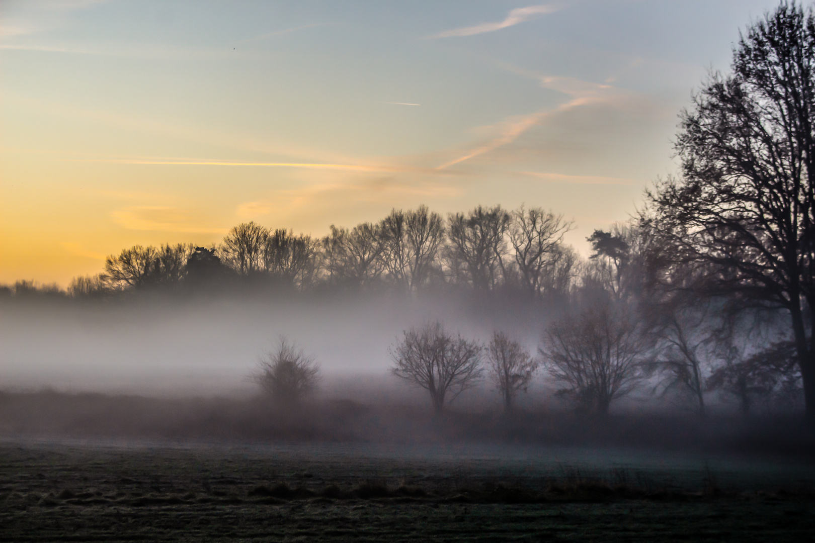 Foggy Morning