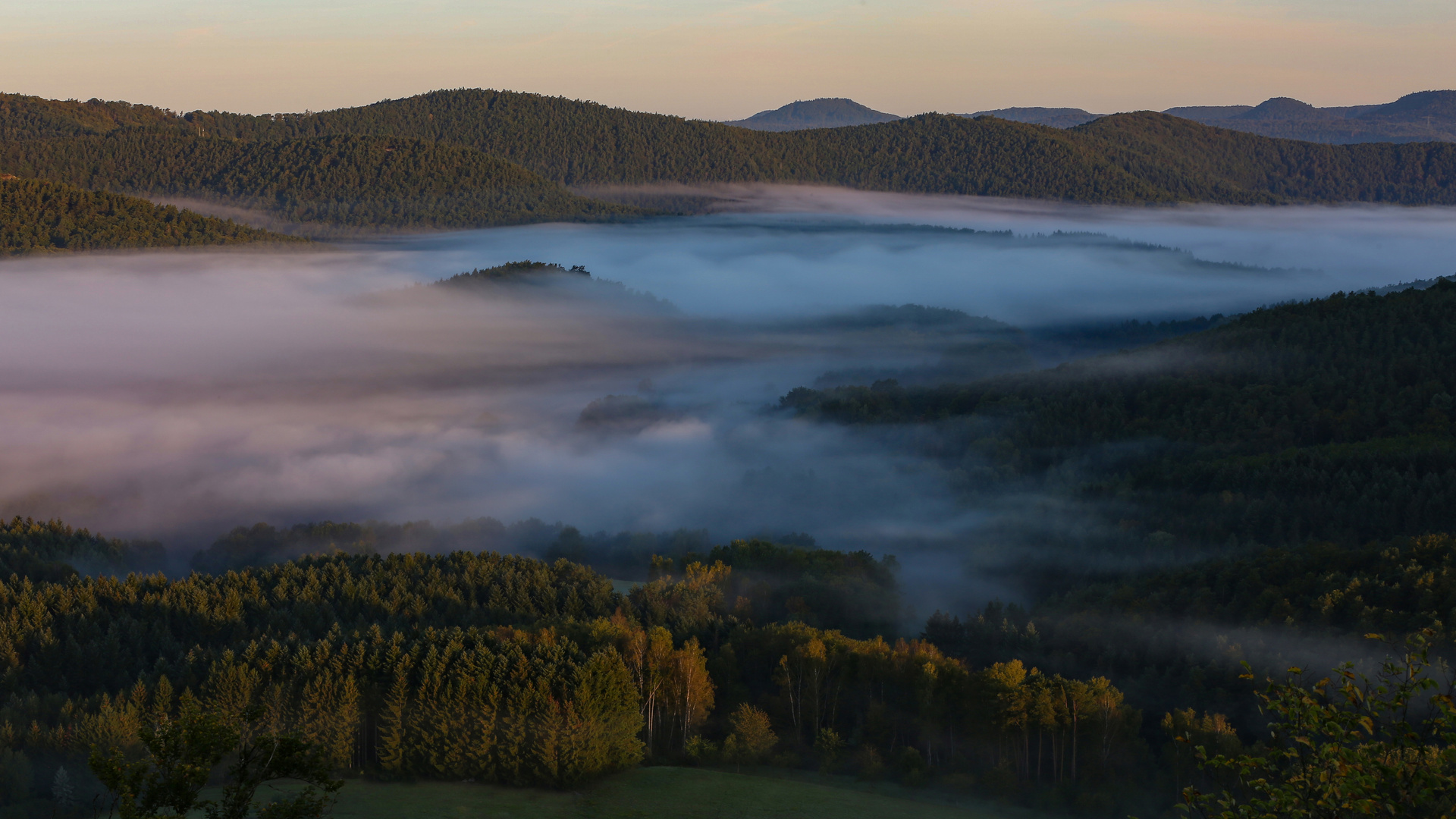 foggy morning