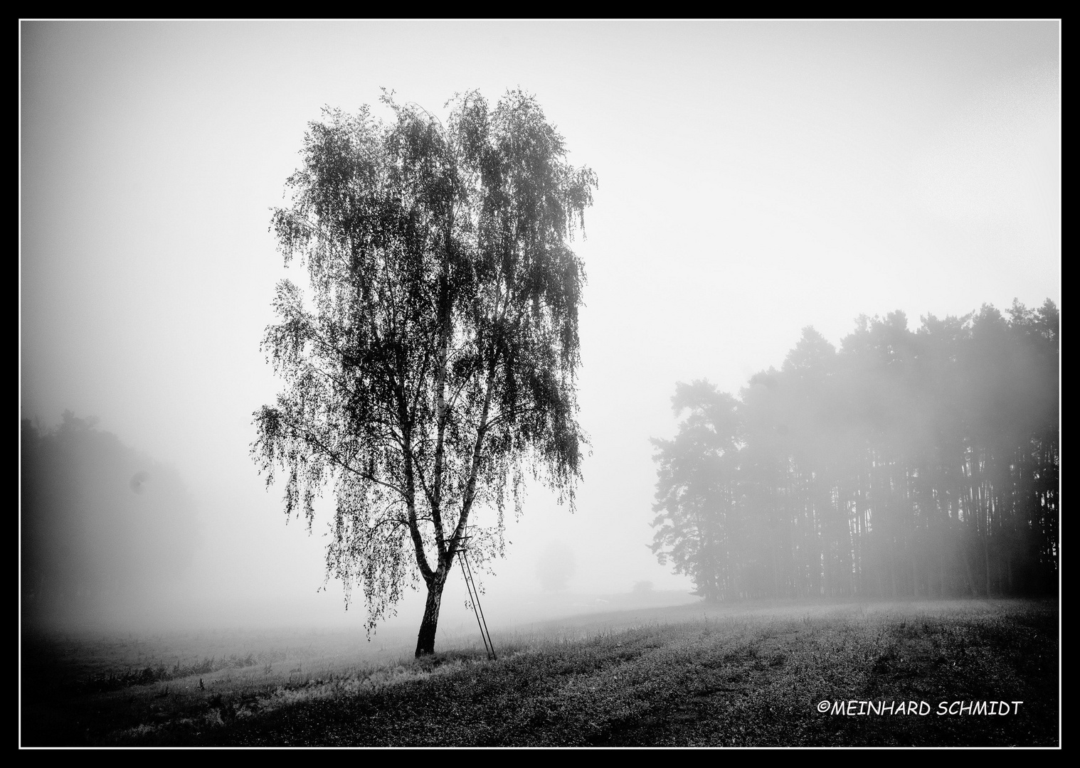 ...foggy Morning